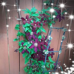 Meet your Posher, Jeanne